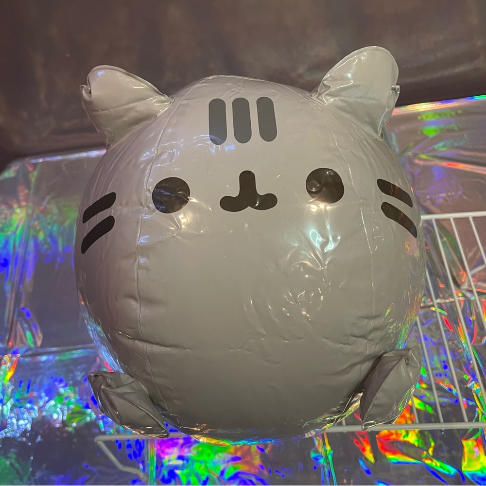 Limited Edition Pusheen Beach Ball Pool Float